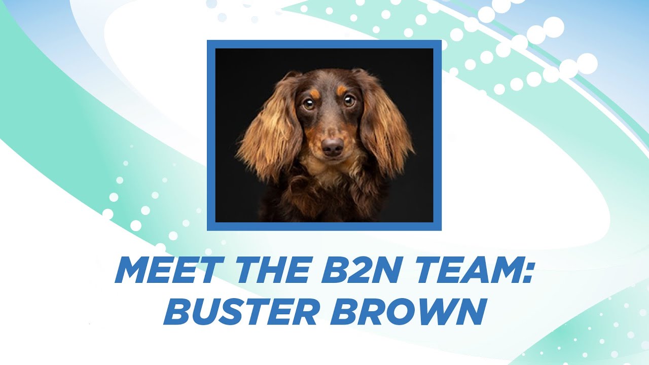 Buster Brown