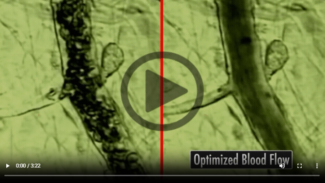 BEMER'S Impact on Blood Flow